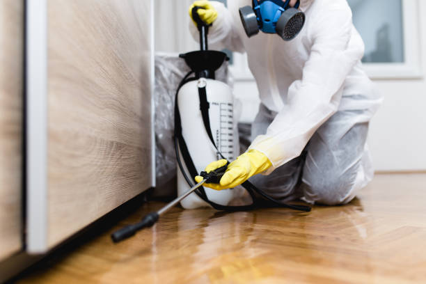 Best Pest Prevention Services  in Port Wentworth, GA