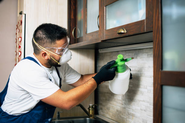 Best Pest Removal Services  in Port Wentworth, GA
