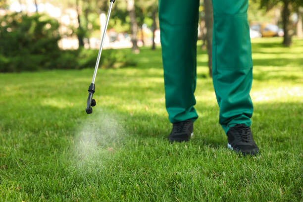 Professional Pest Control in Port Wentworth, GA
