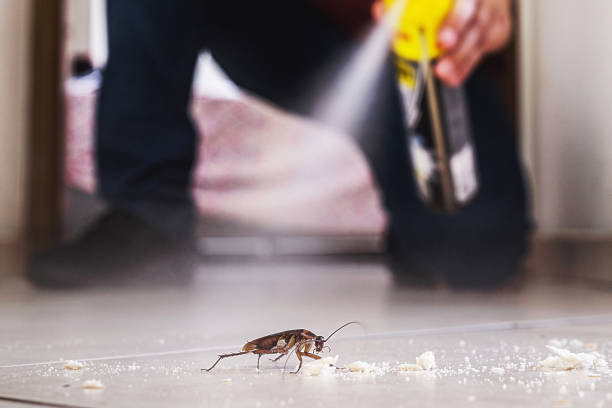 Best Exterminator Services  in Port Wentworth, GA