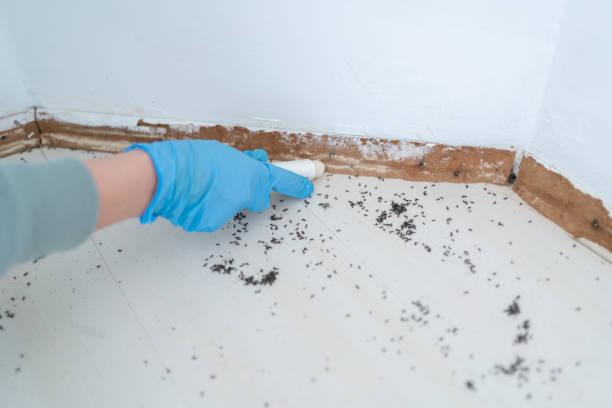 Pest Control for Restaurants in Port Wentworth, GA